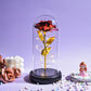 Valentine Gift Beauty and The Beast Preserved Roses In Glass