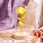 Valentine Gift Beauty and The Beast Preserved Roses In Glass