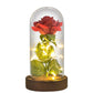 Valentine Gift Beauty and The Beast Preserved Roses In Glass