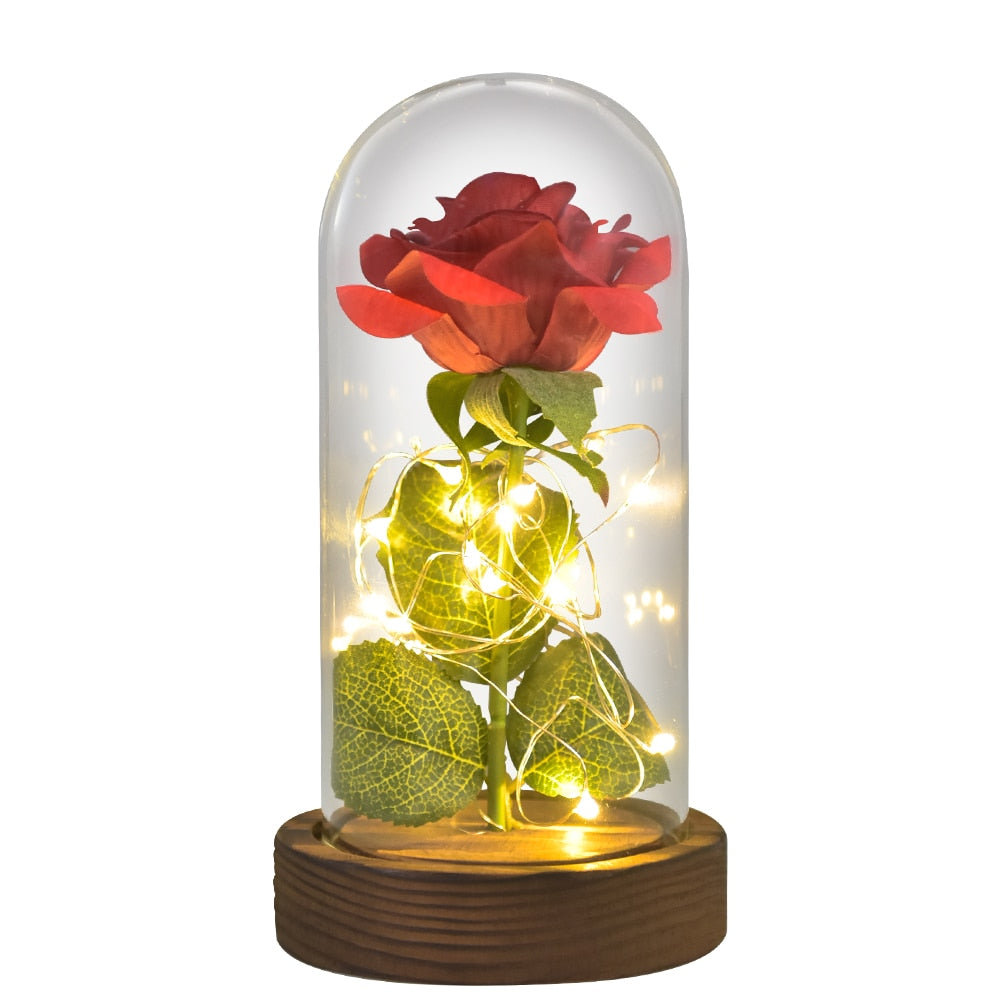 Valentine Gift Beauty and The Beast Preserved Roses In Glass