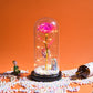 Valentine Gift Beauty and The Beast Preserved Roses In Glass