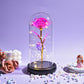 Valentine Gift Beauty and The Beast Preserved Roses In Glass