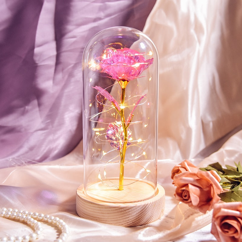 Valentine Gift Beauty and The Beast Preserved Roses In Glass