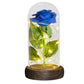 Valentine Gift Beauty and The Beast Preserved Roses In Glass