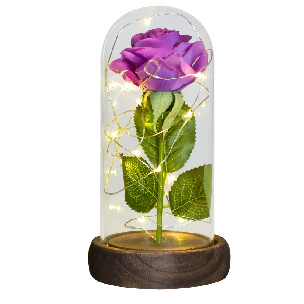 Valentine Gift Beauty and The Beast Preserved Roses In Glass