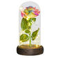 Valentine Gift Beauty and The Beast Preserved Roses In Glass