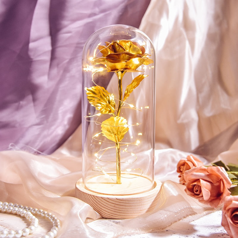 Valentine Gift Beauty and The Beast Preserved Roses In Glass