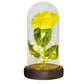 Valentine Gift Beauty and The Beast Preserved Roses In Glass