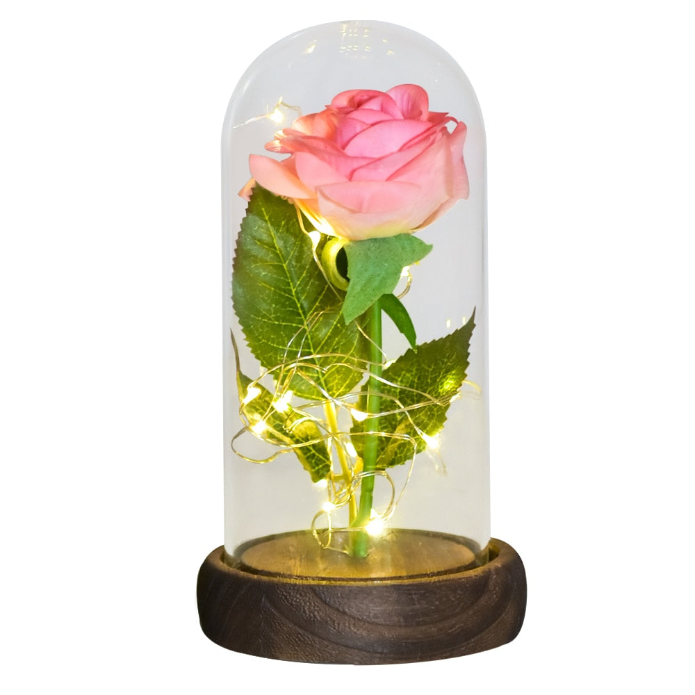 Valentine Gift Beauty and The Beast Preserved Roses In Glass