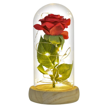 Valentine Gift Beauty and The Beast Preserved Roses In Glass